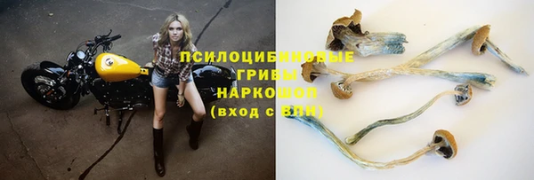спиды Нязепетровск