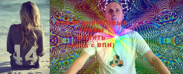 дурь Богородск